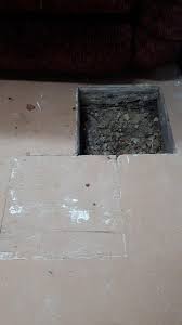 Active 5 years, 4 months ago. Pulled Up Carpet In My Basement Found This Hole Full Of Gravel And Woodchips And What Appears To Be Another Covered By Wood Beside It Any Idea What It Is Whatisthisthing