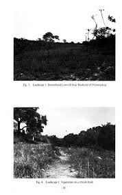 Image result for Pavetta catophylla