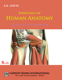 Mar 20, 2021 · superior and inferior. Buy Essentials Of Human Anatomy Superior Inferior Extremities V 3 5e Book Online At Low Prices In India Essentials Of Human Anatomy Superior Inferior Extremities V 3 5e Reviews Ratings