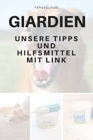 Giardien Befall 8 Effektive Tipps Unsere Hilfsmittel Hundegesundheit Tipps Erste Hilfe