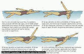 Pin De Del Pilar01 En Natacion Consejos De Natacion Natacion Ejercicios