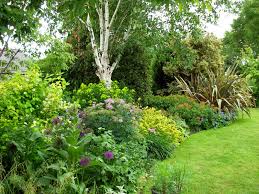See more ideas about garden design, plants, garden. The Bay Garden