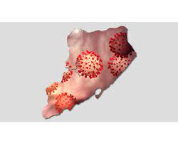 City Releases Coronavirus Fatality Data By Zip Code Here Are Staten Island Numbers Silive Com