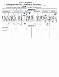 This reinforcement worksheet displays a graphic of the cell membrane showing the phospholipid bilayer and embedded proteins. Transport In Cells Worksheet Fresh 17 Best Ideas About Cell Theory On Pinterest Biology Lessons Teaching Biology Cell Theory