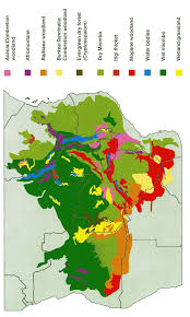 Image result for Triaspis dumeticola