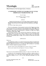 Image result for Rytigynia umbellulata