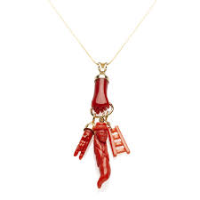 Image result for Triumfetta amuletum