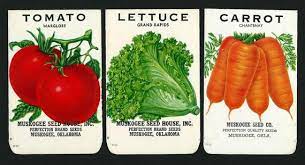 Vegetable Seed Vegetable Seeds Packets Seed Packets