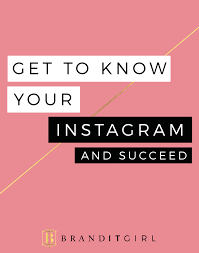 Get To Know Your Instagram And Succeed Gain Instagram Followers Getting To Know You Blog Writing