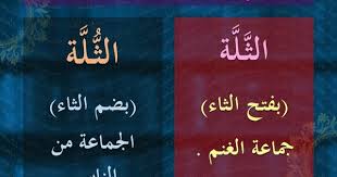 الث لة و الث لة Learn Arabic Language Arabic Language Arabic Langauge