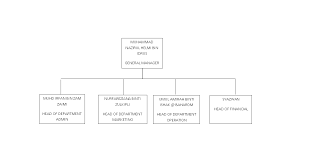 Mishadina Cyber Cafe Organization Chart