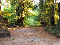 We're close enough for trips to major locations like ferndale, trinidad and old town eureka, but far enough to provide peace and quiet. Santa Cruz Redwoods Rv Resort Roadside Secrets