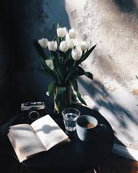 Ezgi Polat Coffee And Books Light And Shadow Inspiration