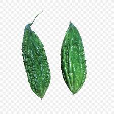 Look through our top 100 seed bank reviews we are the oldest and most trusted review site. Bitter Melon F1 Hybrid Seed Green Leckat Corporation Sdn Bhd Png 1200x1200px Bitter Melon Bitterness Cucumber