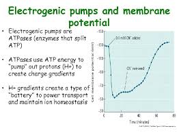 Biological membranes are highly ordered structures consisting of mosaics of lipids and proteins. Plant Physiology Talk Six Solute Transport Solute