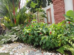 21 pokok 3d models found. Halamanku