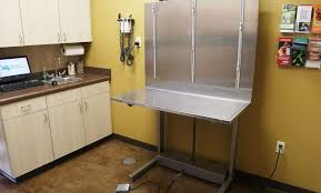 We're moving as quickly as we can! Expert Veterinary Care In Downtown Memphis The Pet Hospitals