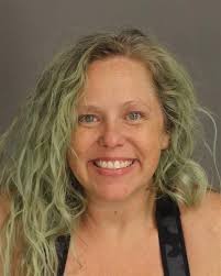 Westland woman charged with allegedly ramming into couple with car while  drunk