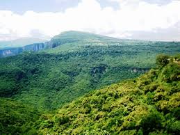 There are three main entrances to this huge park, a protected natural area since 1997, and one of them is at the end of belisario dominguez street. Barranca De Huentitan Mirador Zoo Mapio Net