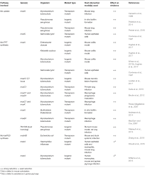 Available in a range of colours and styles for men, women, and everyone. Frontiers Molybdenum Enzymes And How They Support Virulence In Pathogenic Bacteria Microbiology