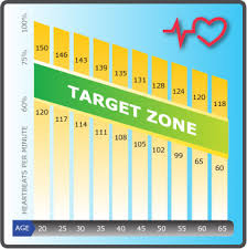 Heart Rate During Cardio Heart Rate Zones