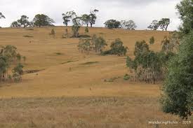 Ancre hill, monmouth, monmouthshire np25. Typical New South Wales Countryside Photo