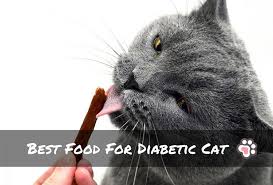 The following composition is ideal therefore, dry foods are not generally recommended for diabetic cats. Best Food For Diabetic Cat 3 Awesome Health Solutions Tinpaw