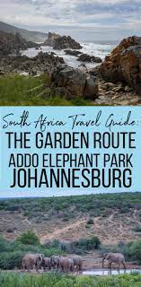 South Africa Travel Guide Garden Route Johannesburg Registered Dietitian Columbia Sc Rachael Hartley Nutrition South Africa Travel Africa Travel Guide Africa Travel