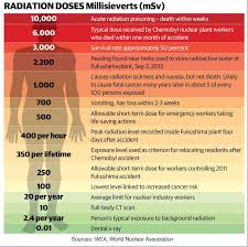 Kiwi Fukushima Resident Says Area Isnt Dangerous Despite