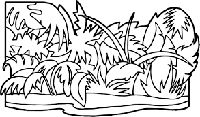 Cool Jungle Plants Jungle Coloring Page Jungle Coloring Pages Coloring Pages Printable Flower Coloring Pages