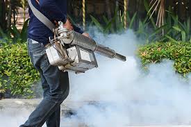 These are often cheap, but if you're an ironman or cannot afford one, fear not! Sandy Straits Pest Control Pty Ltd Pest Control Specialist In Hervey Bay 4655 Taskforce