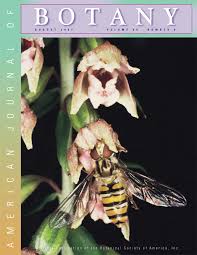 Image result for Harveya huillensis