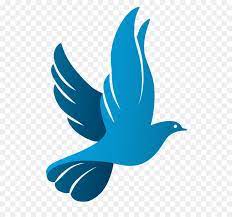 Columbidae Doves As Symbols Logo Pigeon Symbol Logo Pigeon Logo Pigeon Pictures