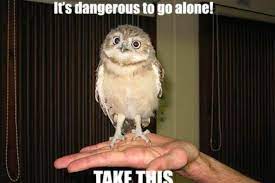 Check spelling or type a new query. 25 Of The Cutest Owl Memes To Brighten Your Day Let S Eat Cake