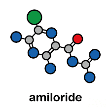 Image result for Amiloride