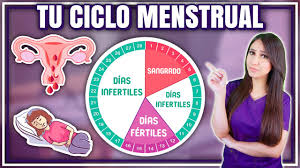 Conoce Tu Ciclo Menstrual Y Dias Fertiles L Dra Pau Zuniga Youtube