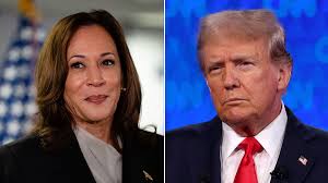 Trump vs. Harris poll finds 'astounding change' in Democratic electorate  since her ascension