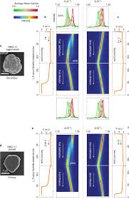 Jh lee, hj lee, sy lim, bg kim, jw choi. Fictitious Phase Separation In Li Layered Oxides Driven By Electro Autocatalysis Nature Materials