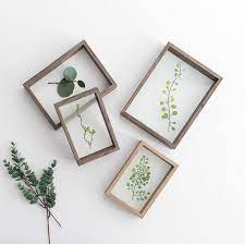 Ucuz Yaratici Bitki Ornekleri Cift Tarafli Akrilik Plastik Cerceve Kati Ahsap Pleksi Dekoratif Cerceve Diy Art Resim Fotograf Cercevesi Cerceve Bitki Yaratici