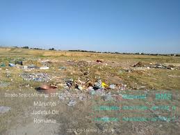 În sectoarele 2,3,4 și 5 nu se respectă prevederile legale privind sotarea și reciclarea deșeurilor municipale. Garda De Mediu A Amendat Primaria MarunÅ£ei Jud Olt Pentru DepozitÄri Necontrolate De DeÈeuri Menajere In Amestec Cu Deseuri Vegetale