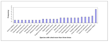 Image result for Englerina woodfordioides