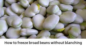 If you want to add extra time and energy you can wash and dry your beans. How To Freeze Broad Beans Without Blanching Growing Guides