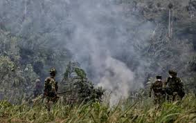 Argelia, valle del cauca, a town in colombia; Diez Disidentes Muertos En Combates En Argelia Cauca