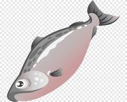 Tacos de pescado (fish tacos) originated in baja california in mexico, where they consist of grilled or fried fish, lettuce or cabbage, pico de gallo, and a sour cream or tacos made with a carnitas filling. Salmon Fish Cute Salmon S Marine Mammal Food Png Pngegg