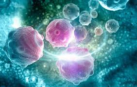 Metastazy V Pecheni Sovremennoe Lechenie Himioterapiya Prognoz
