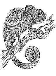 Pin On Coloring Sheets
