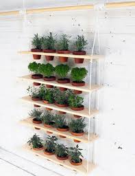 Upcycle plastic milk or water jugs to use as herb planters. 46 Indoor Herb Garden Ideas That Will Inspire You To Start Planting