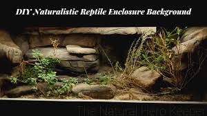 Alternatively if you are using spray foam, then simply spray all the area you want covered in the rough shape you desire. Diy Naturalistic Enclosure Background For A Bearded Dragon Youtube