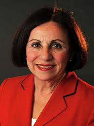 Toni Boucher: Keeping the lights on