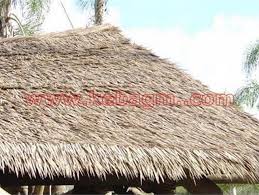 Last april while on our belize island, i decided i wanted to create a center where guests can store their snorkel equipment. Thatch Roof Inspections Information Sources Design Specifications Life Expectancy